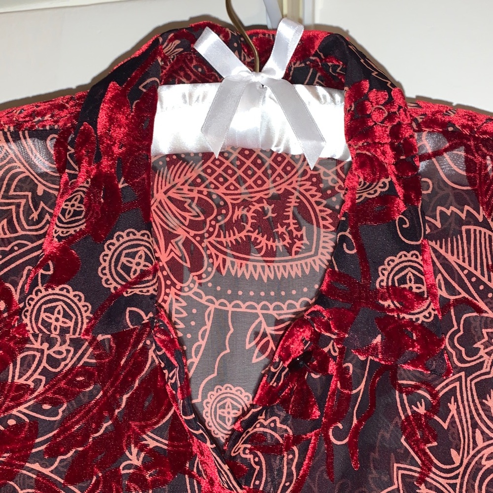 Velvet & Sheer 3/4 Sleeve Button-down Blouse, Dressy, Ruffle Cuff, Collar, Layer